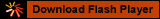 download Flash plugin